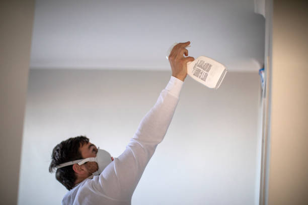 Best Professional Mold Removal  in Sappington, MO
