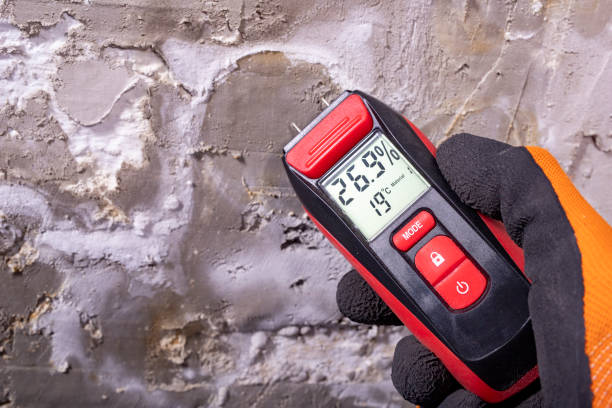 Professional Mold Removal in Sappington, MO